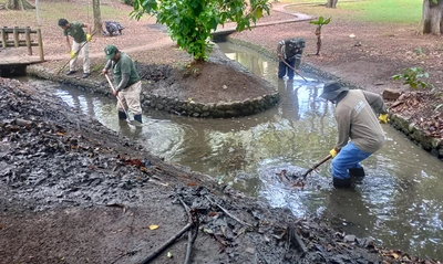  Dagma adelanta acciones para proteger el humedal El Retiro: los patos serán trasladados a otro hábitat