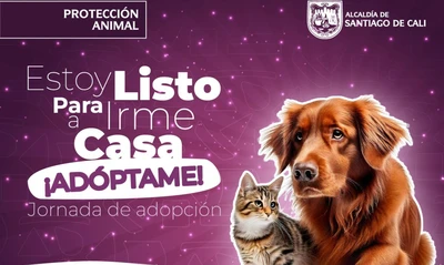¡Cambia una vida y llena la tuya de amor! Jornadas de adopción este fin de semana en Cali