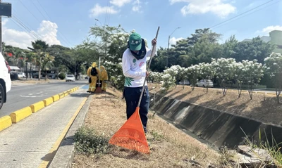 Cali florece: ‘Promotores Mi Cali Bella’ inician jornada de embellecimiento en la calle 13 entre carreras 50 y 56