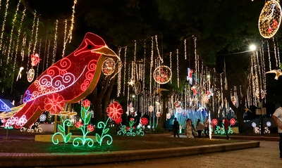 El 6 de diciembre ‘Cali le canta a la Navidad’: se enciende el ‘Alumbrado Navideño de 2024’
