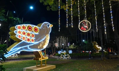 Cali enciende la magia del ‘Alumbrado Navideño de 2024’: conoce los cierres y desvíos para disfrutarlo con seguridad