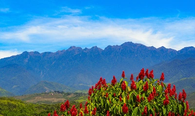 Vive un día de deporte, cultura y naturaleza en el Farallones Fest 2024