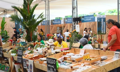 El ritmo económico de Cali tiene un avance positivo