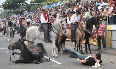 Alcaldía de Cali aclara que no habrá cabalgata en la Feria de Cali 2024