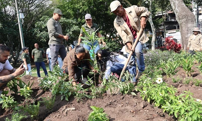 Con un caracolí y jardín para polinizadores, se realizó la reposición del caucho talado en el Parque del Perro