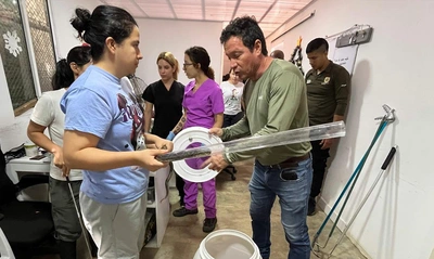 El Dagma rescata una serpiente talla X o mapaná en El Topacio