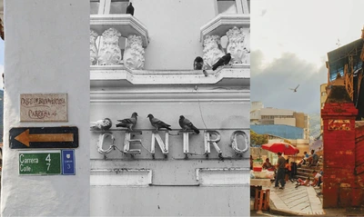 Ganadores del concurso de fotografía ‘Ojo al centro’ 2024