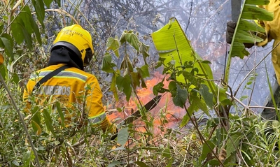 Por inconsciencia ciudadana, nuevamente se presenta incendio forestal en  Pichindé