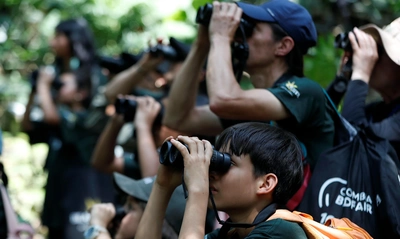 Abierta convocatoria para stands comerciales de la Colombia Birdfair 2025 en la Plaza de Cayzedo: conoce los términos e inscríbete