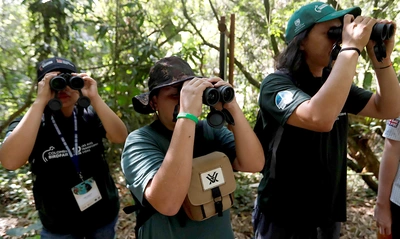 Inscríbete gratis a los talleres, guías y salidas a pajarear en el marco de la Colombia Birdfair 2025