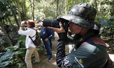 Colombia Birdfair tendrá actividades abiertas al público en la Plaza de Cayzedo: conozca la programación y agéndese