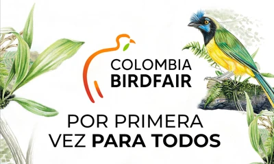 Por primera vez, la Colombia Birdfair es para todos: programación gratuita en la Plaza de Cayzedo el 15 y 16 de febrero