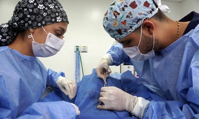 Un Compromiso de Amor' continúa con jornadas gratuitas de esterilización en Cali