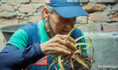 Más de 48.000 acciones epidemiológicas en 2025 han sido clave para que Cali mantenga el dengue bajo control