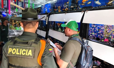 Dagma y Policía Ambiental realizan visitas de inspección y control al  tráfico de fauna