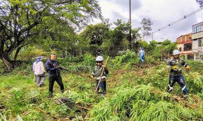 Alcaldía de Cali realizó gran jornada de recuperación, limpieza y  embellecimiento en la Comuna 15
