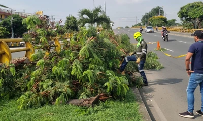 Cuadrillas del Dagma contribuyen al mejoramiento de la seguridad vial en Cali