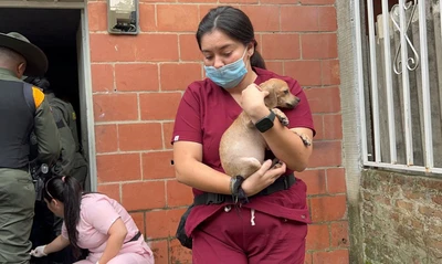 Cinco perros rescatados del maltrato en Potrero Grande: Protección Animal impone sanciones