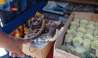 Autoridades ambientales incautan piel y caparazón de animales silvestres en el centro de Cali