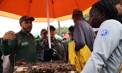 Golpe al tráfico de fauna silvestre en La Casona