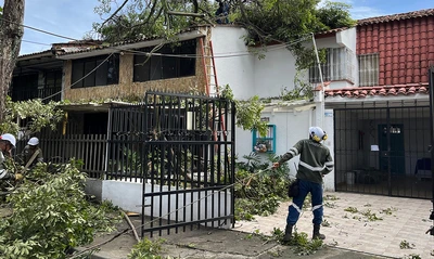 Más de 20 emergencias por volcamiento de árboles en Cali han sido atendidas por el Dagma