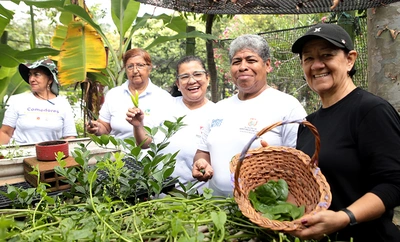 Huertas comunitarias: una oportunidad de la Alcaldía de Cali para  sembrar esperanza