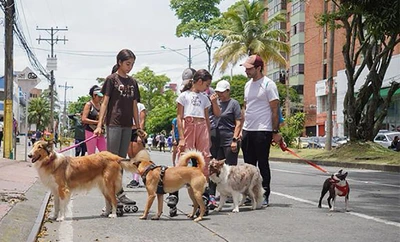 La Ciclovida de Cali se moviliza por el bienestar animal