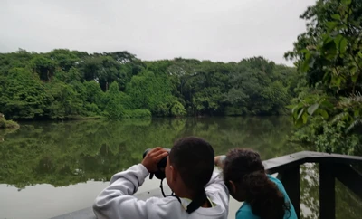 Con jornada de avistamiento matutina en el eco-parque Lago de las Garzas, Cali despedirá a las aves migratorias