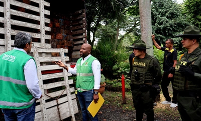 Policía Ambiental realizó aprehensión de madera extraída del litoral  Pacífico