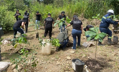Empresas que siembran futuro: Quest y el Dagma unen fuerzas por los ecosistemas de Cali