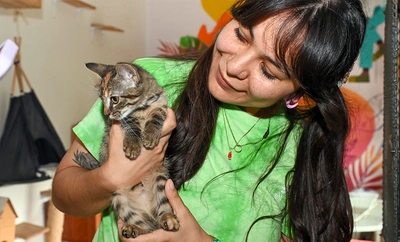Abre tu corazón en el Centro de Bienestar Animal: adopta un ‘peludito’ y cambia su destino