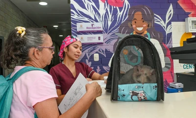 ¡Cali esteriliza con amor! Alcaldía invita a la ciudadanía a no dejar pasar las jornadas gratuitas para el bienestar animal