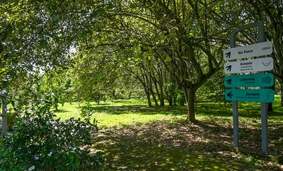 Cali, capital mundial de la biodiversidad