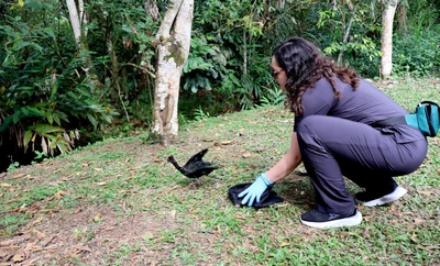 27 animales recuperados en el Hogar de Paso del Dagma retornaron a sus hábitats naturales