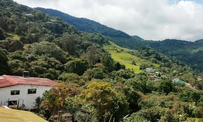Por cooperación internacional, el Dagma ha gestionado 1.5 millones de dólares para proyectos ambientales