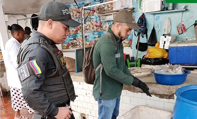 En víspera del ‘Petronio Álvarez’, Dagma y Policía Ambiental iniciaron controles al tráfico de flora y fauna silvestre