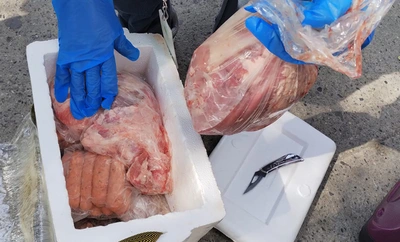 Diga “no” al consumo de carne de especies silvestres: ¡evite enfermedades!