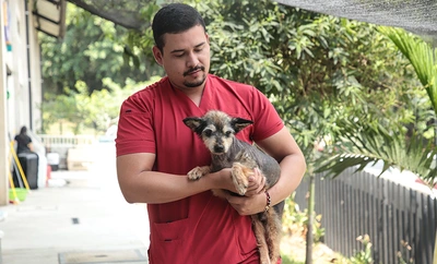 ‘Mallarino’, el perrito que sobrevivió al abandono y hoy busca un hogar lleno de amor