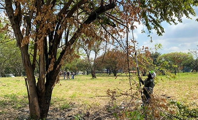 Esta es la historia de cómo la comunidad y la Alcaldía de Cali recuperaron una importante zona verde para el disfrute de la ciudadanía