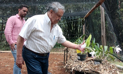 Institución Educativa Pichindé recibirá apoyo técnico del Orquideorama de Cali