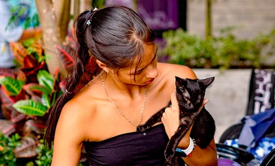 ¿Quiere esterilizar a su mascota? Estos son los requisitos clave que  debe cumplir