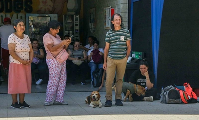 Conflictos por tenencia de mascotas pueden convertirse en casos de maltrato animal: denuncie a tiempo
