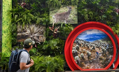 Arranca la ‘Semana de la Biodiversidad’: más de 350 actividades  gratuitas para vivir en Cali