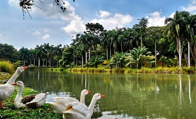 Emprendedores podrán acceder a capital semilla: así será el ‘Encuentro Abierto’ de CEIBA durante la ‘Semana de la Biodiversidad’