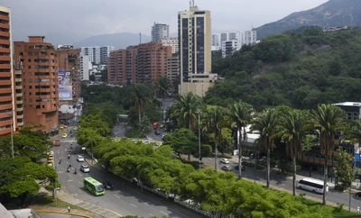 Conservar y proteger la biodiversidad, el objetivo del ‘Plan Maestro Ambiental’: ¡así recuperamos Cali!