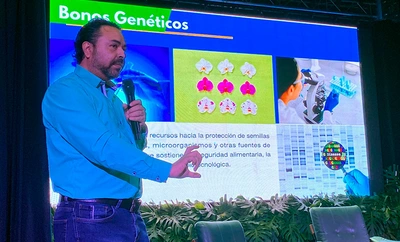 Tokenización verde: transforma los bonos de carbono en activos  digitales