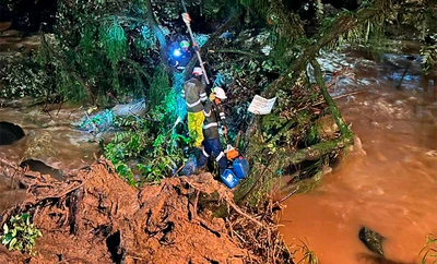 Alcaldía retiró gigantesco árbol que se volcó sobre el río Cali para evitar emergencia en el oeste de la ciudad