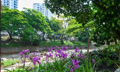 120 jardines embellecen las riberas del río Cali