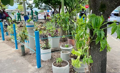 Cali recupera espacios públicos con acciones ciudadanas en Brisas del Limonar