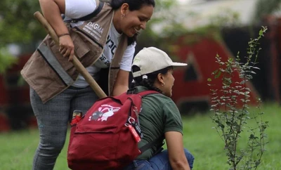 Traslado de árboles en la calle 25 se realizará de forma concertada con la comunidad